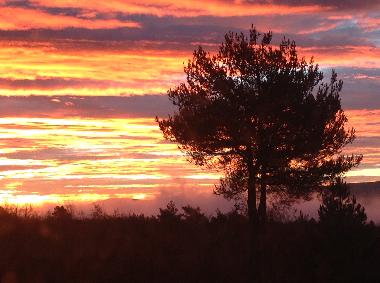 Casa de vacaciones en Caseneuve (Vaucluse)Casa de vacaciones