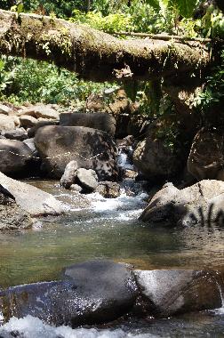 Villa en Puntarenas (Puntarenas)Casa de vacaciones