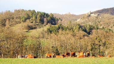 Casa de vacaciones en Durban sur Arize (Ari�ge)Casa de vacaciones