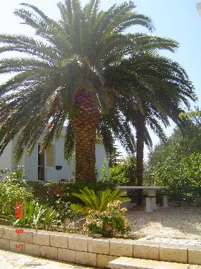 Apartamento de vacaciones en Rab (Primorsko-Goranska)Casa de vacaciones