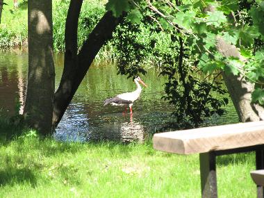 Chalet en Skulte (Lettland)Casa de vacaciones