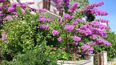 Apartamento de vacaciones en Stari Grad (Splitsko-Dalmatinska)Casa de vacaciones