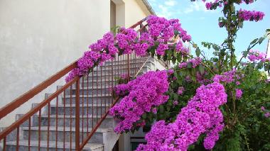 Apartamento de vacaciones en Stari Grad (Splitsko-Dalmatinska)Casa de vacaciones