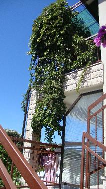 Apartamento de vacaciones en Stari Grad (Splitsko-Dalmatinska)Casa de vacaciones