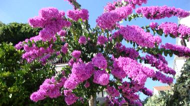 Apartamento de vacaciones en Stari Grad (Splitsko-Dalmatinska)Casa de vacaciones