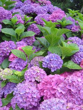 Apartamento de vacaciones en Stari Grad (Splitsko-Dalmatinska)Casa de vacaciones