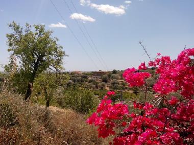 Apartamento de vacaciones en noto (Siracusa)Casa de vacaciones