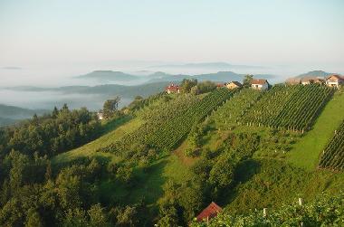 Casa de vacaciones en �entrupert (Trebnje)Casa de vacaciones