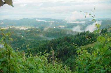 Casa de vacaciones en �entrupert (Trebnje)Casa de vacaciones