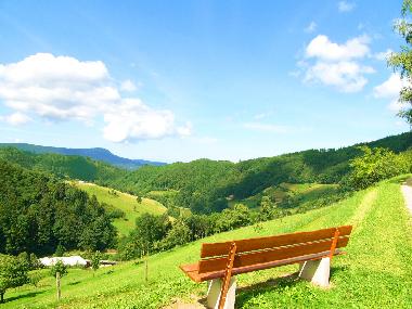 Apartamento de vacaciones en Oppenau/Schwarzwald (Schwarzwald)Casa de vacaciones