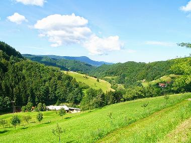 Apartamento de vacaciones en Oppenau/Schwarzwald (Schwarzwald)Casa de vacaciones