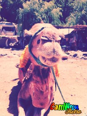 Apartamento de vacaciones en Marrakech (Marrakech)Casa de vacaciones