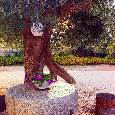 Villa en Ostuni (Brindisi)Casa de vacaciones