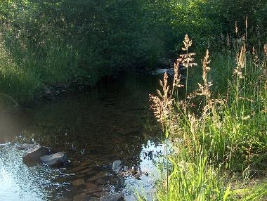 Apartamento de vacaciones en Manderfeld (Wallonia)Casa de vacaciones