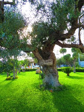 Casa de vacaciones en Parabita (Lecce)Casa de vacaciones