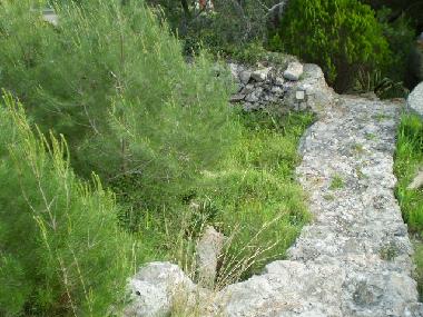 Casa de vacaciones en Pat� (Lecce)Casa de vacaciones