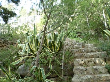 Casa de vacaciones en Pat� (Lecce)Casa de vacaciones