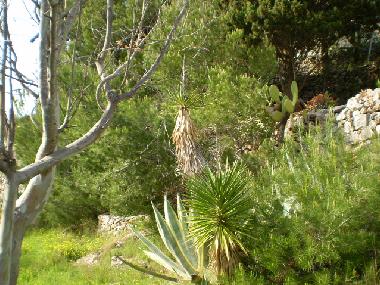 Casa de vacaciones en Pat� (Lecce)Casa de vacaciones