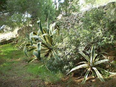 Casa de vacaciones en Pat� (Lecce)Casa de vacaciones