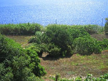 Apartamento de vacaciones en Tricase Porto (Lecce)Casa de vacaciones