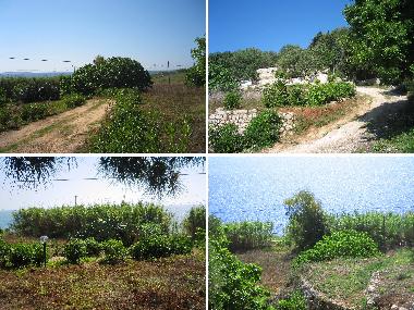 Apartamento de vacaciones en Tricase Porto (Lecce)Casa de vacaciones