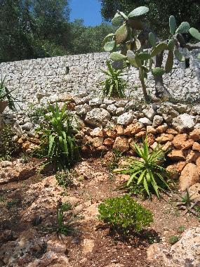 Apartamento de vacaciones en Tricase Porto (Lecce)Casa de vacaciones