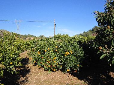 Casa de vacaciones en Borriol (Castell�n / Castell�)Casa de vacaciones