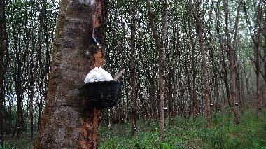 Villa en Ao Nang (Krabi)Casa de vacaciones