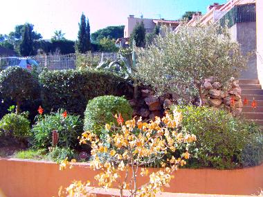 Apartamento de vacaciones en Collioure (Pyrnes-Orientales)Casa de vacaciones