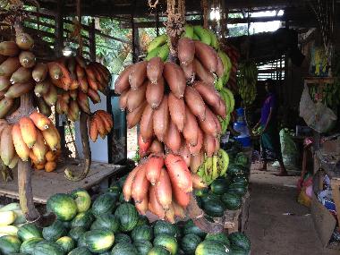 Villa en Mirissa, Thalaramba (Matara)Casa de vacaciones