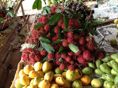 Villa en Mirissa, Thalaramba (Matara)Casa de vacaciones