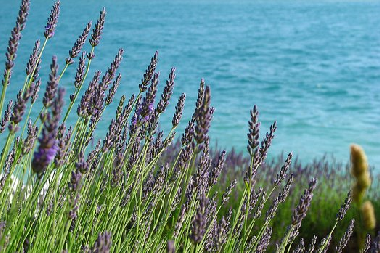 Chalet en Artignosc sur Verdon (Var)Casa de vacaciones