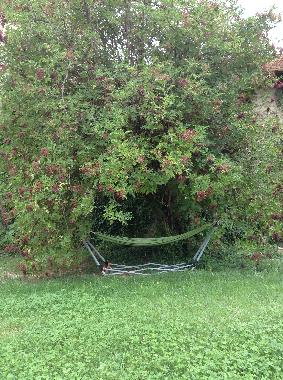 Villa en Viols (Vaucluse)Casa de vacaciones