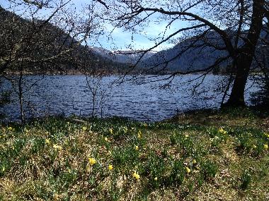 Apartamento de vacaciones en Gerardmer (Vosges)Casa de vacaciones