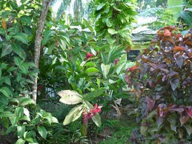 Casa de vacaciones en Las Terrenas (Samana)Casa de vacaciones