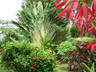 Casa de vacaciones en Las Terrenas (Samana)Casa de vacaciones