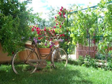 Apartamento de vacaciones en Premantura (Istarska)Casa de vacaciones