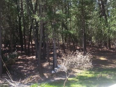 Casa de vacaciones en malbosc (Ard�che)Casa de vacaciones