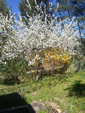 Casa de vacaciones en malbosc (Ard�che)Casa de vacaciones