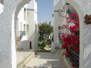 Apartamento de vacaciones en Шарм ель (Shamal Sina
