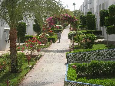 Apartamento de vacaciones en Шарм ель (Shamal Sina