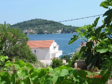 Casa de vacaciones en Kali auf der Insel Ugljan (Zadarska)Casa de vacaciones