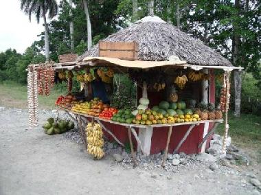 DISPONES DE VENTA DE PRODUCTOS DE LA ZONA EN LA CARRETERA HOLGUIN_GUARDALAVACA. FRUTAS EX�TICAS.