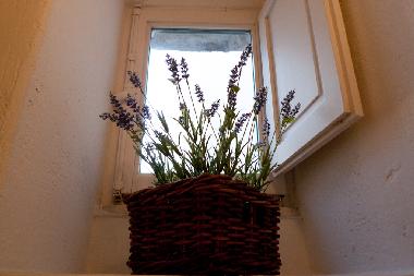 Casa de vacaciones en Ostuni (Brindisi)Casa de vacaciones