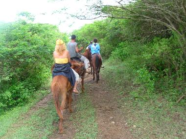 DISFRUTA DE PASEOS A CABALLO POR LA CAMPI�A CUBANA.