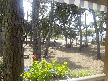 Apartamento de vacaciones en Saint Hilaire de Riez (Vende)Casa de vacaciones