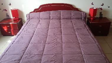 Villa en saint gilles (Gard)Casa de vacaciones