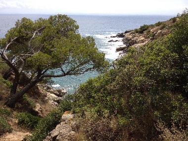 Apartamento de vacaciones en rosas (Girona)Casa de vacaciones