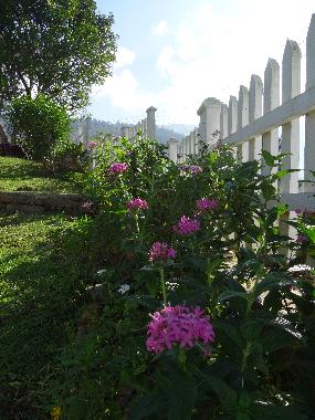 Casa de vacaciones en Mahakanda Kandy (Kandy)Casa de vacaciones