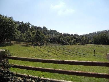 Casa de vacaciones en Fiumicino (Roma) (Roma)Casa de vacaciones